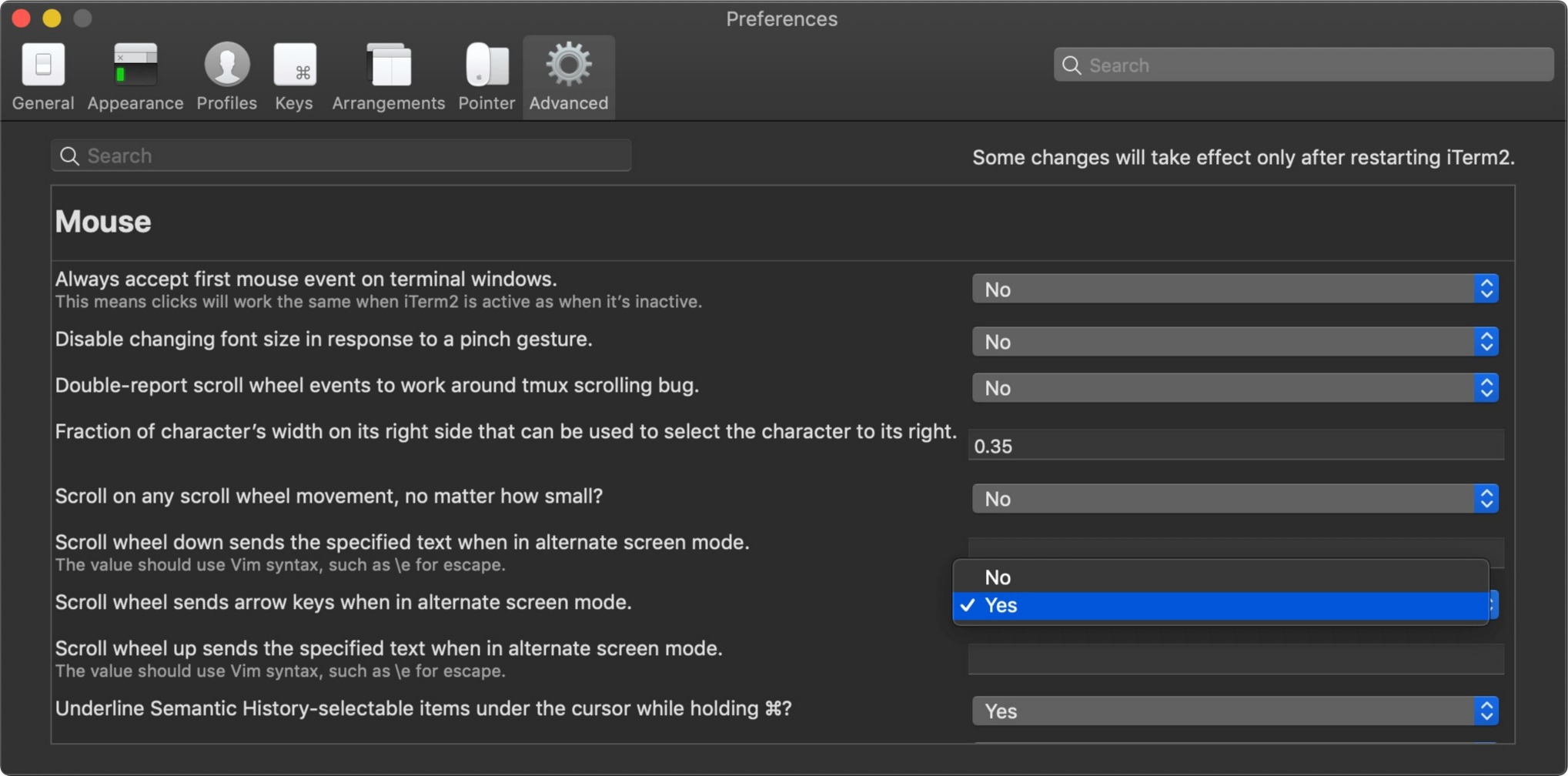 iTerm advanced preferences